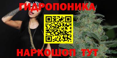 a pvp Будённовск